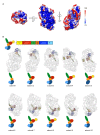 Figure 3—figure supplement 2.