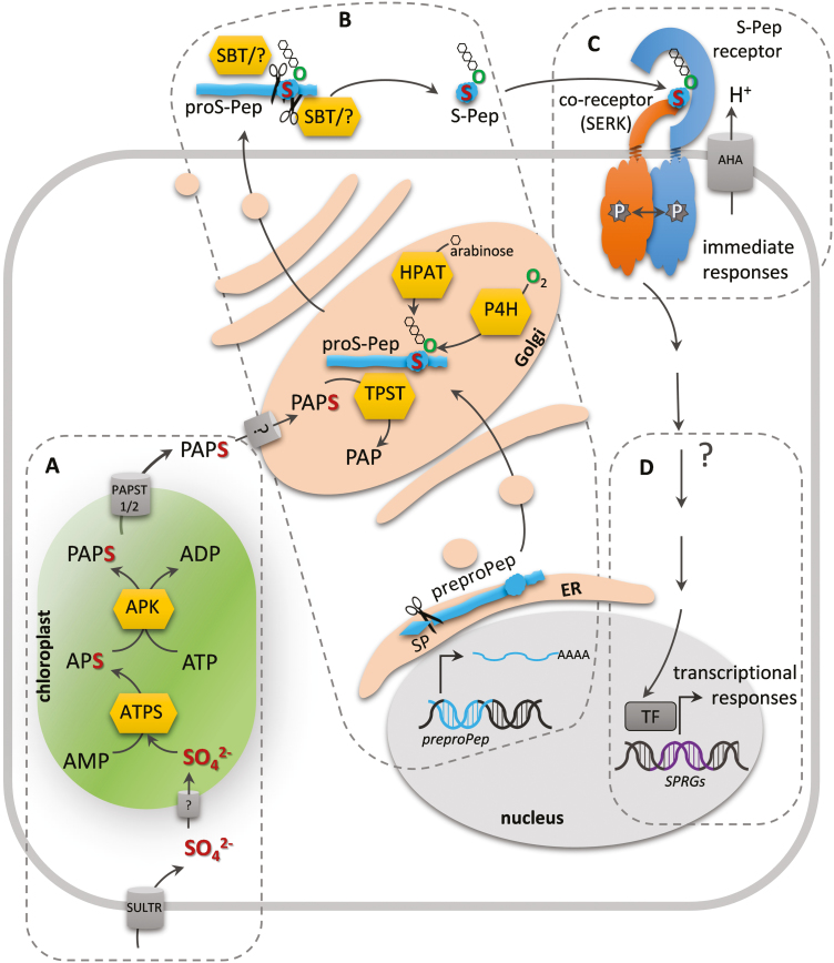 Fig. 1.