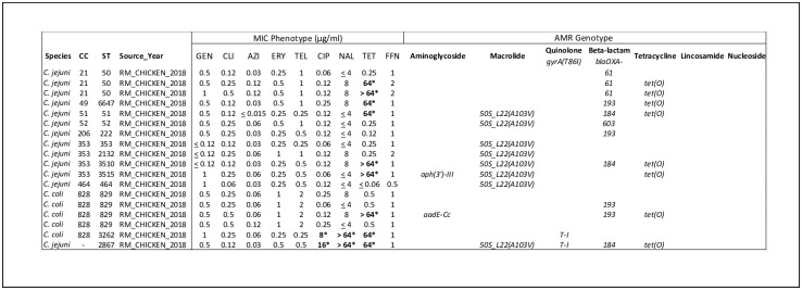 Fig 2