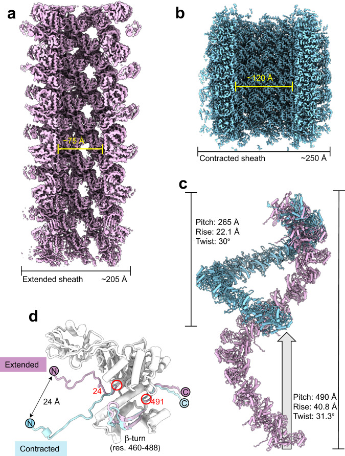 Fig. 3