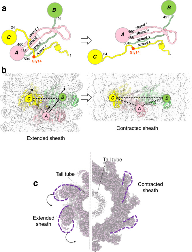 Fig. 4