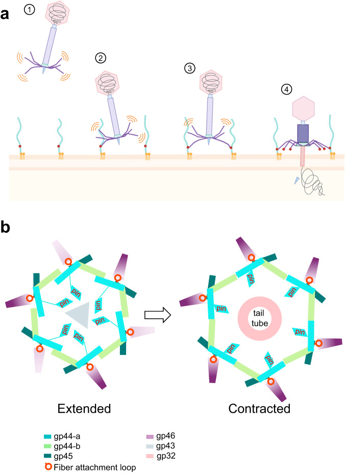 Fig. 9