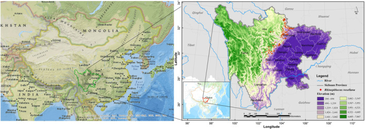 Historical changes in the distribution of the Sichuan golden snub‐nosed ...