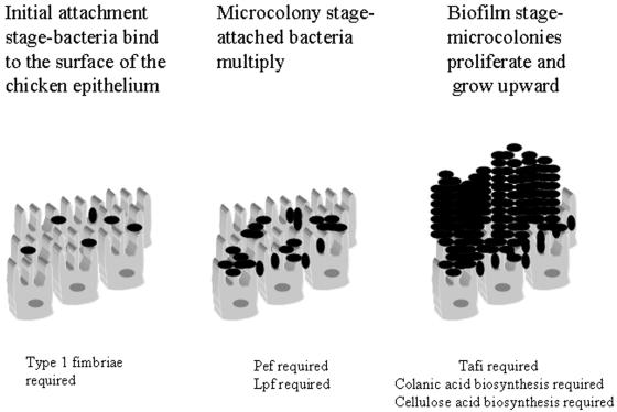 FIG. 7.