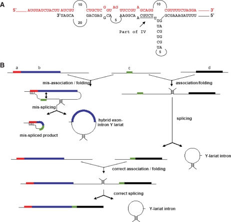 Figure 5.