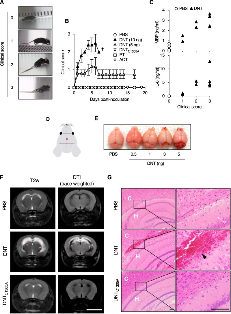 FIG 6