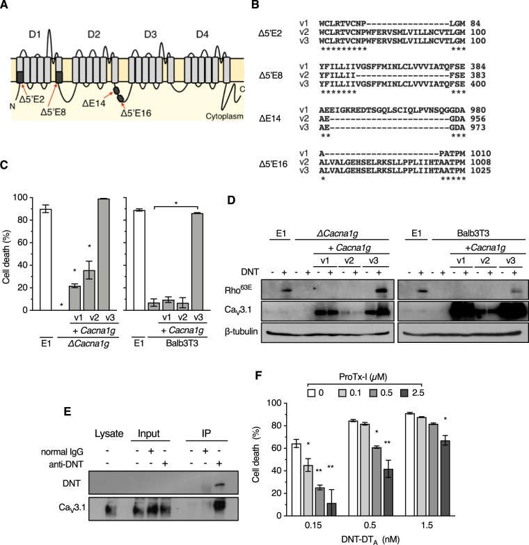 FIG 3