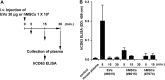 Fig. S3.