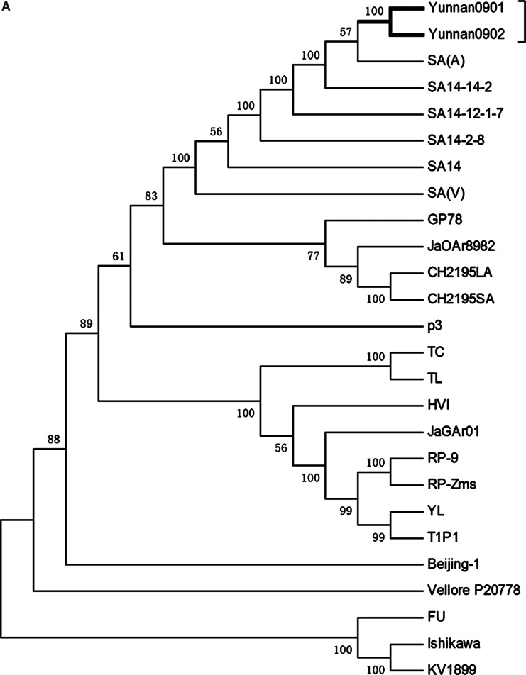 FIG. 2.