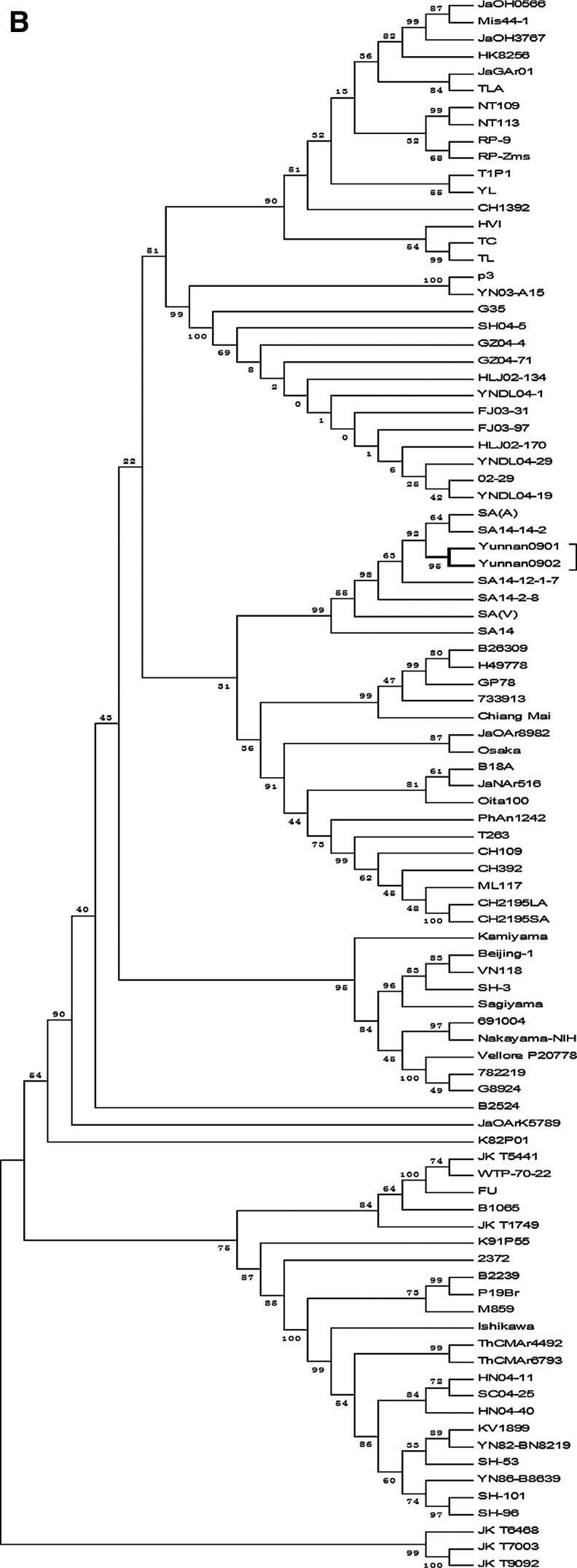 FIG. 2.