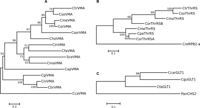 FIGURE 2