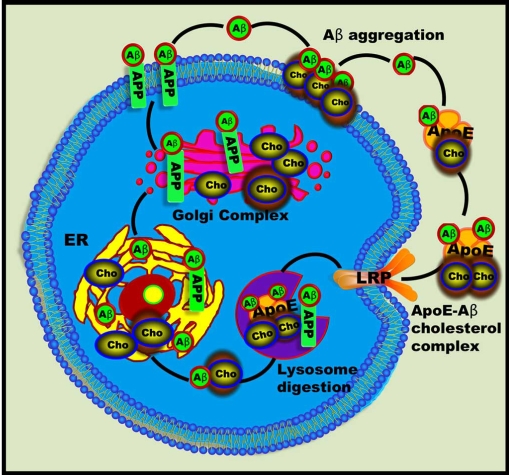 Fig. (9)