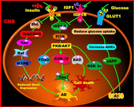 Fig. (3)