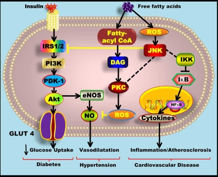 Fig. (5)