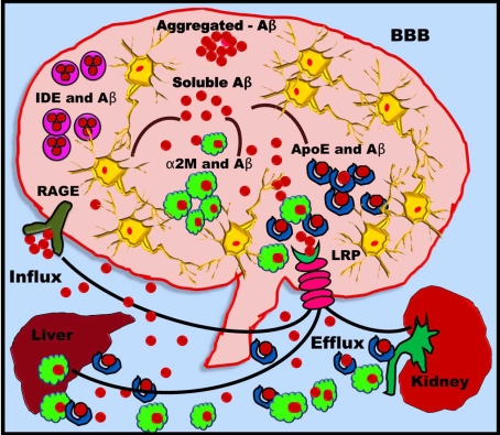 Fig. (11)