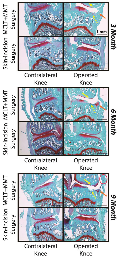 Figure 4: