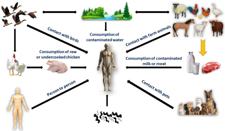 Figure 6