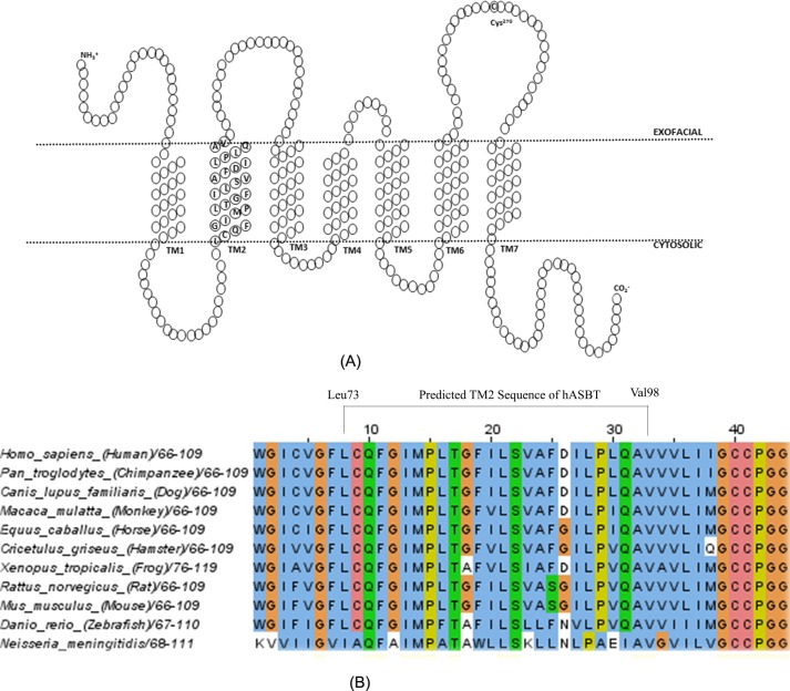 FIGURE 1.