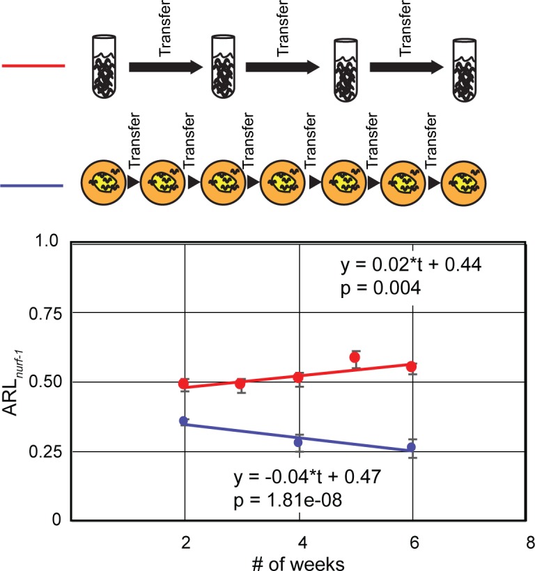 Fig 5