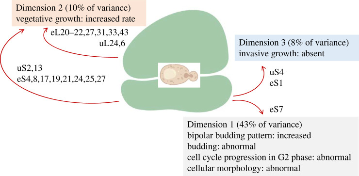 Figure 9.