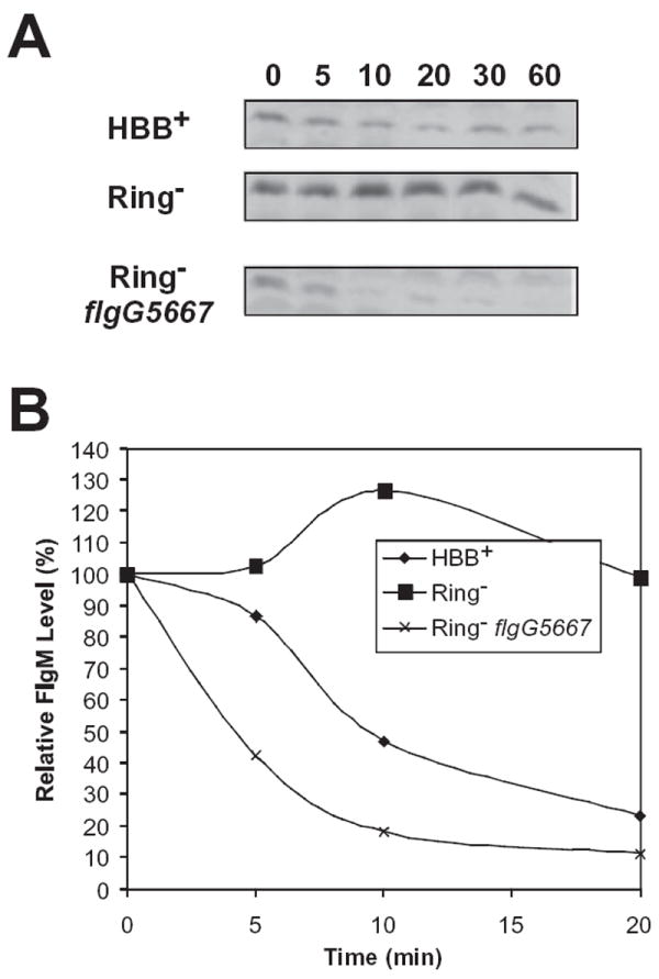 Fig. 5