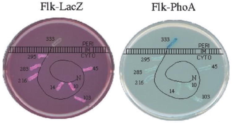 Fig. 3