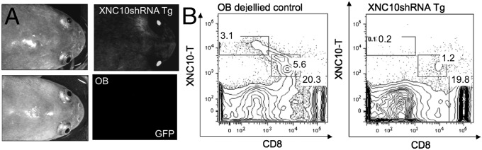 Fig. 4.