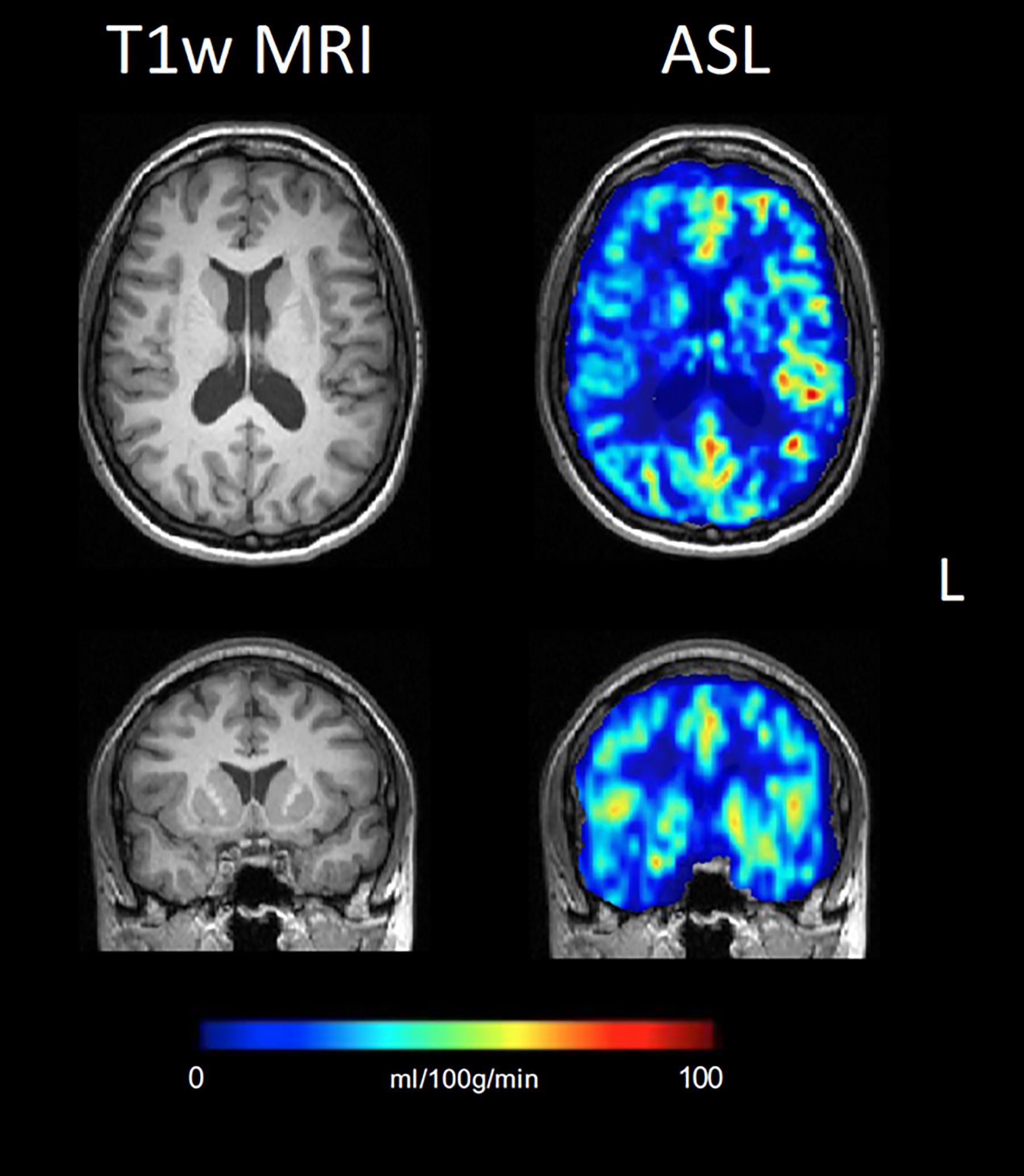 Figure 13: