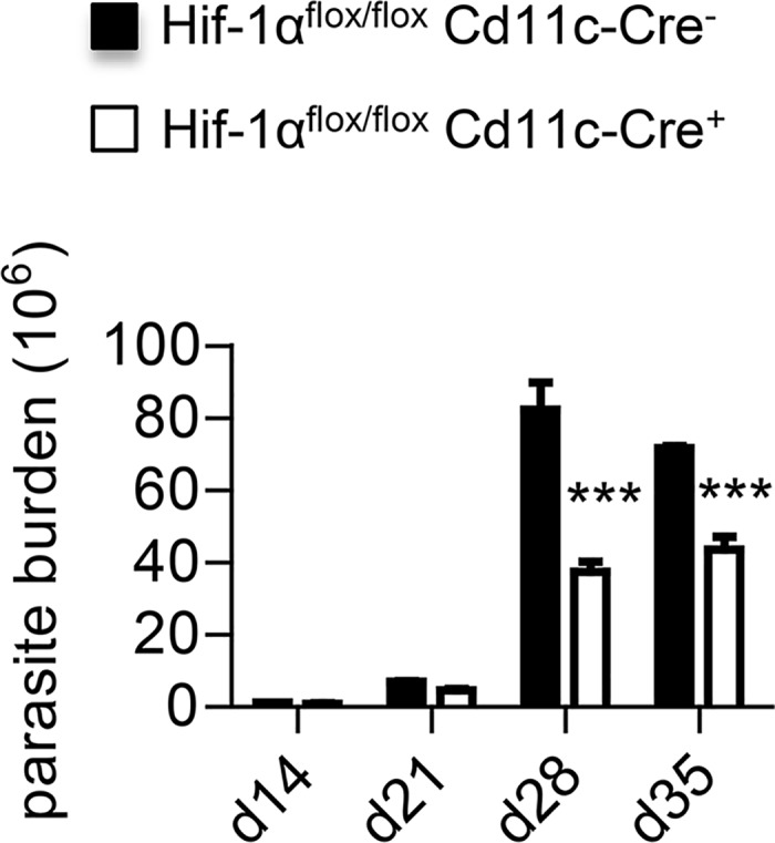 Fig 9