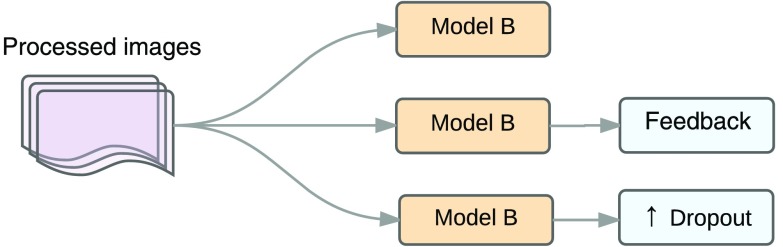 Fig. 12