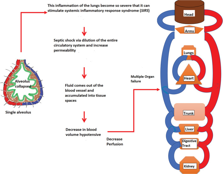 FIGURE 5