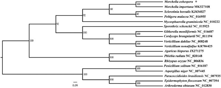 Figure 1.