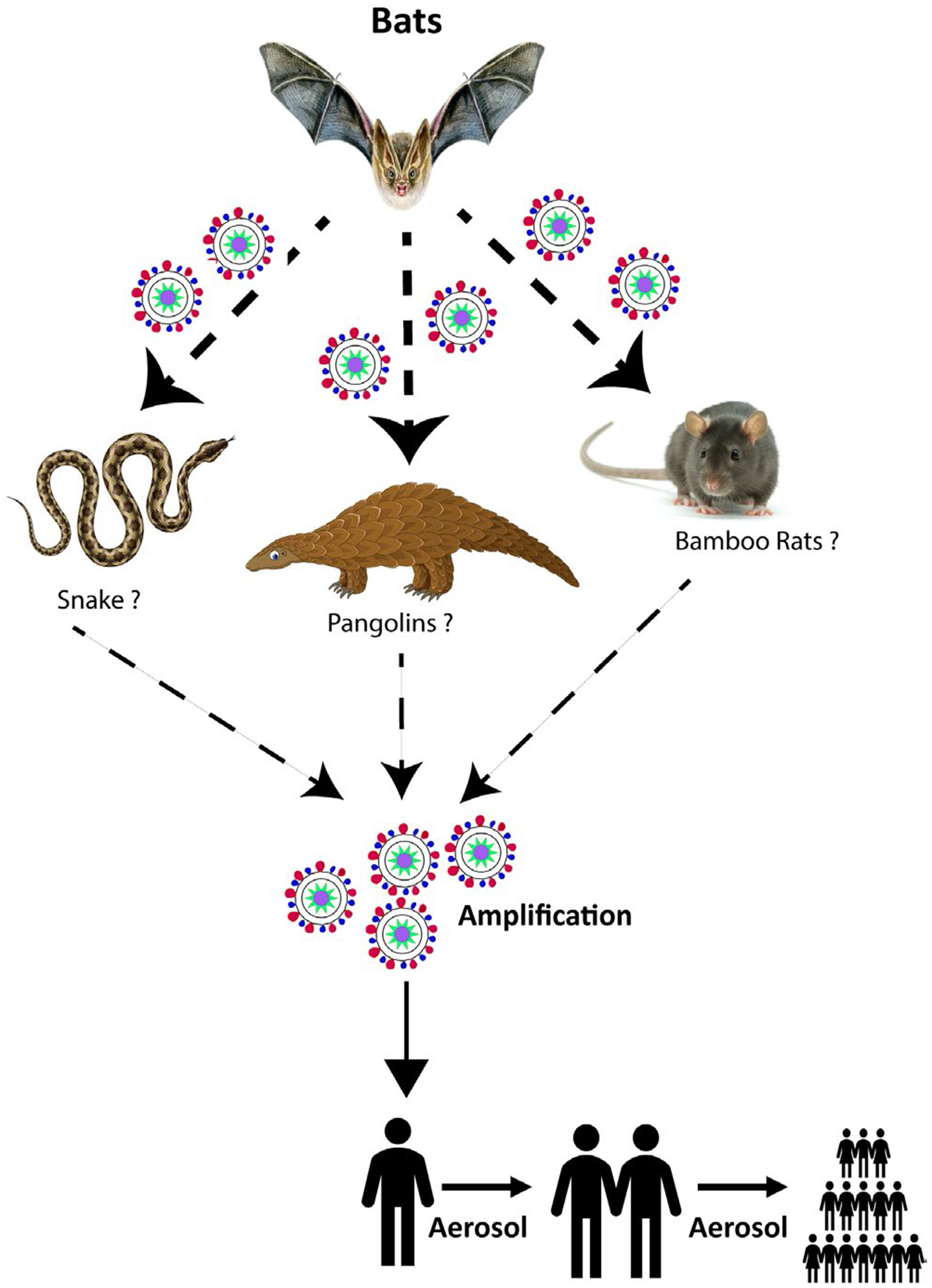 FIGURE 1