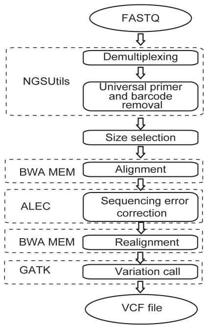 FIGURE 1