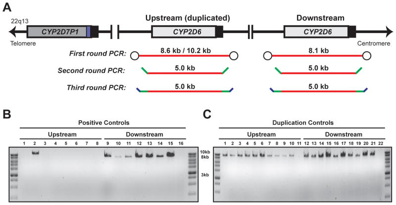 FIGURE 3