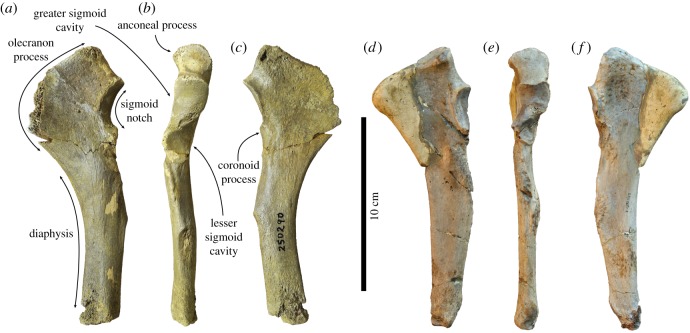 Figure 7.