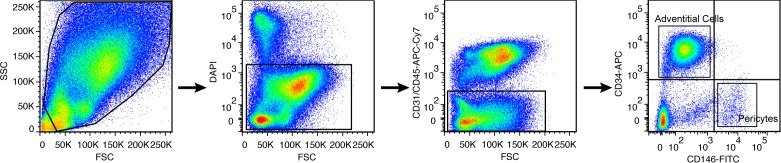 Figure 1—figure supplement 1.