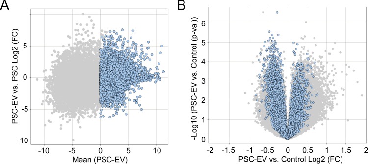 Figure 2—figure supplement 3.