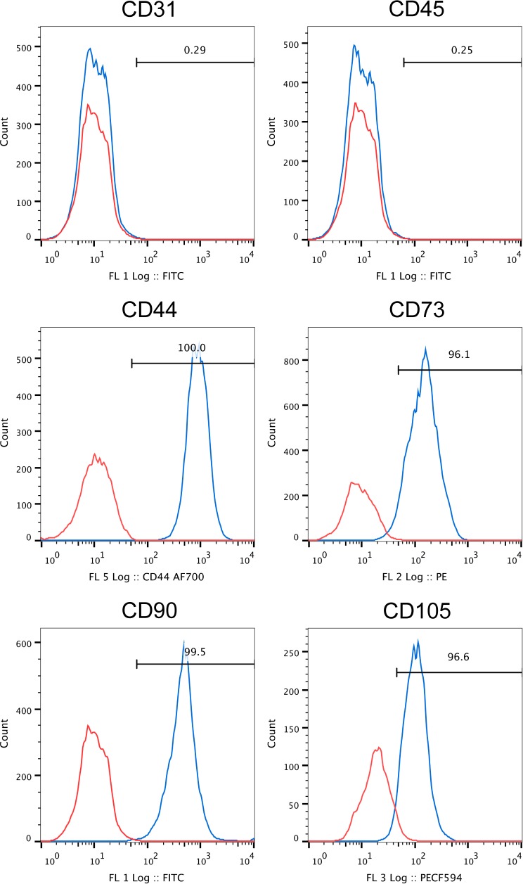 Figure 1—figure supplement 2.