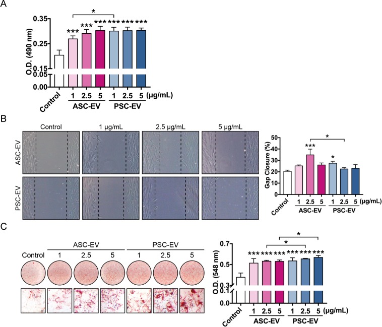 Figure 2—figure supplement 2.