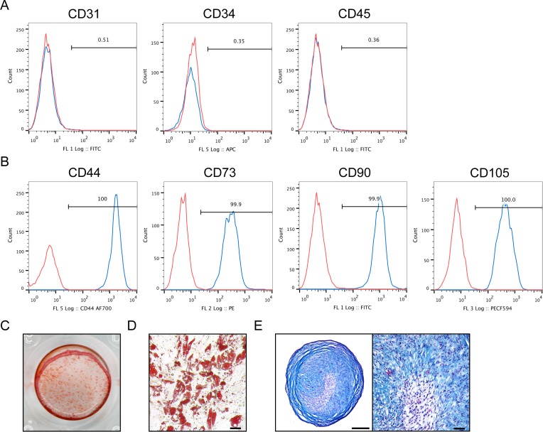 Figure 1—figure supplement 3.