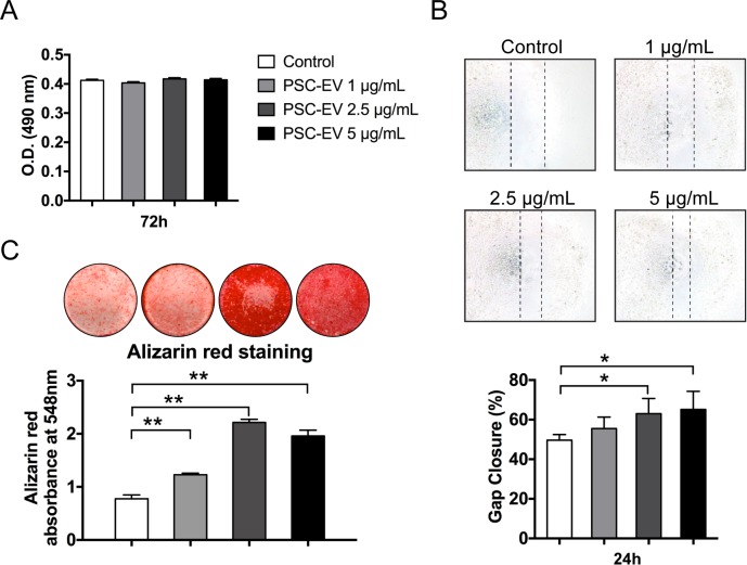 Figure 2—figure supplement 1.