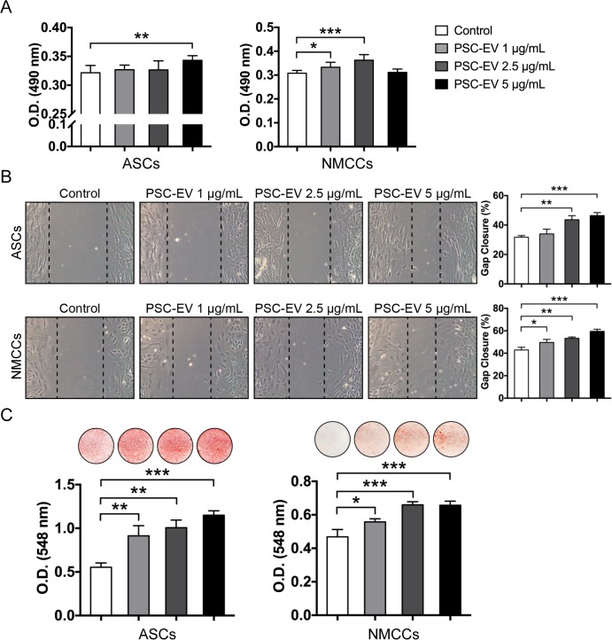 Figure 5—figure supplement 1.