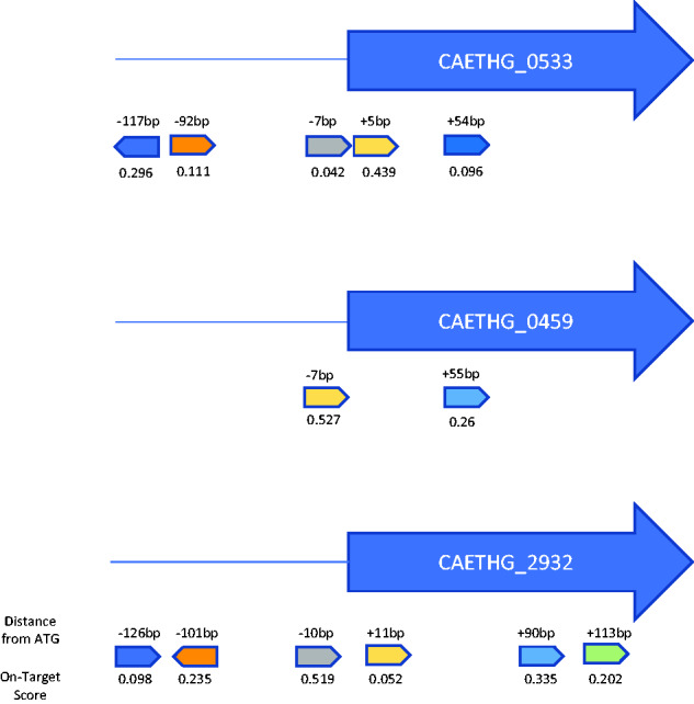 Figure 1.