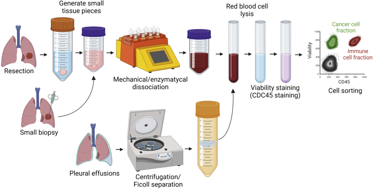 Figure 1