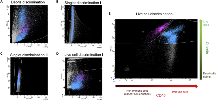 Figure 3