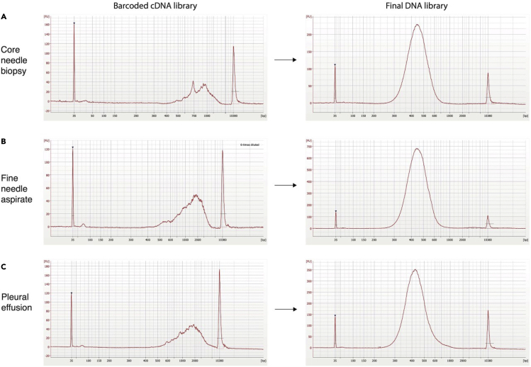 Figure 4