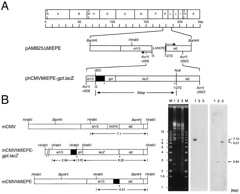 FIG. 1