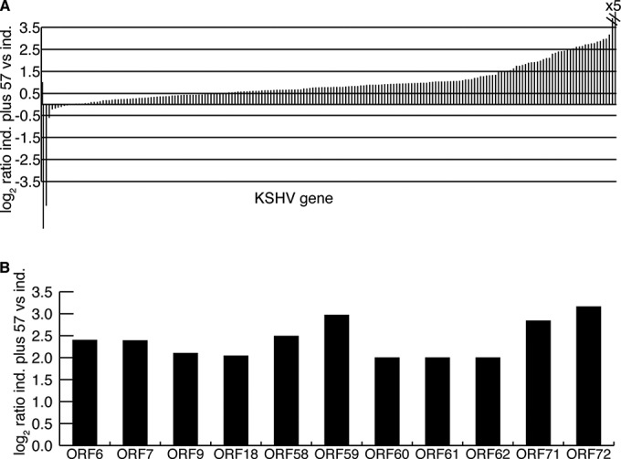 FIG 4