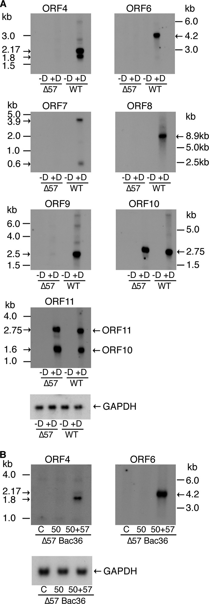 FIG 7